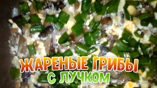 Жареные грибы с луком и морковью на сковороде - пошаговый рецепт с фото на амортизационные-группы.рф