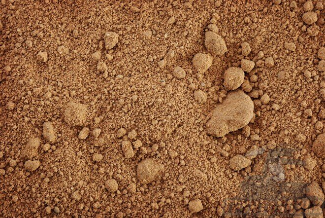 Образец супеси