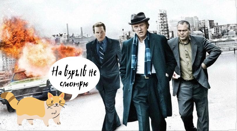 Крутой котик! 