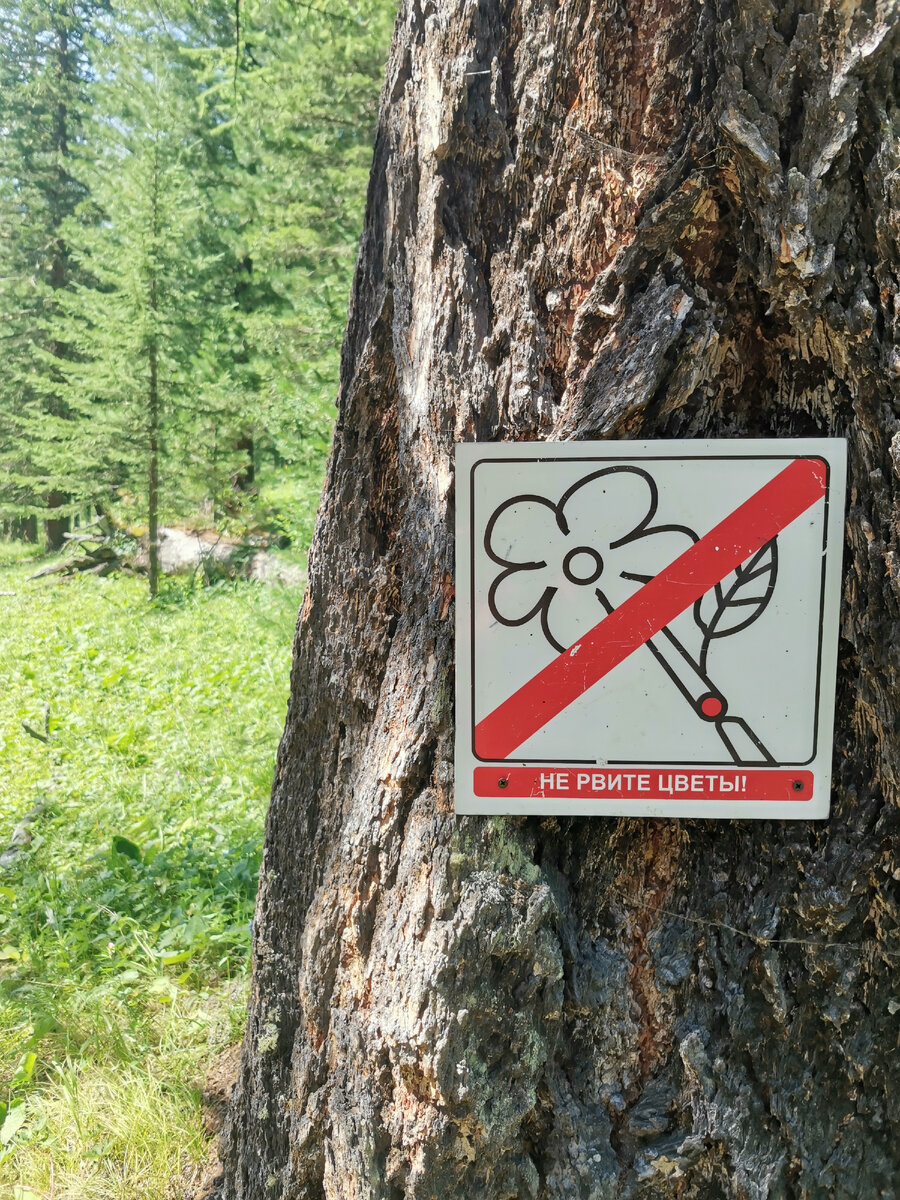 Фото из личного архива