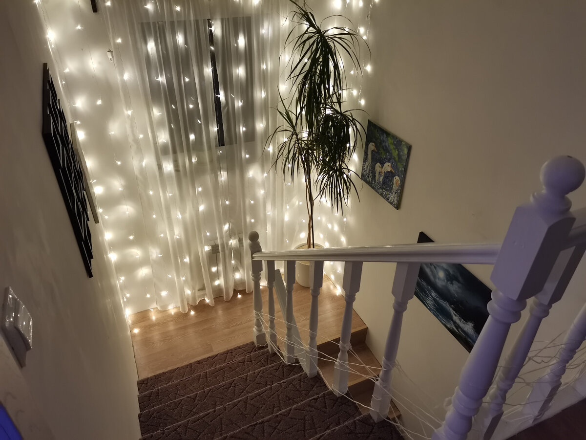 лестница в нашем доме, веревка была натянута для защиты щенка