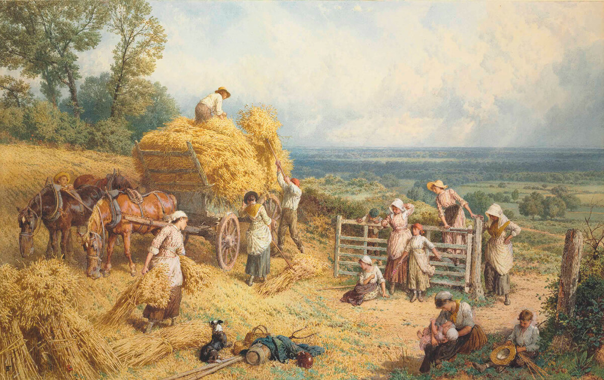 Сельское хозяйство Франции 19 век