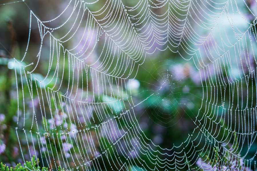 Фото pixabay.com