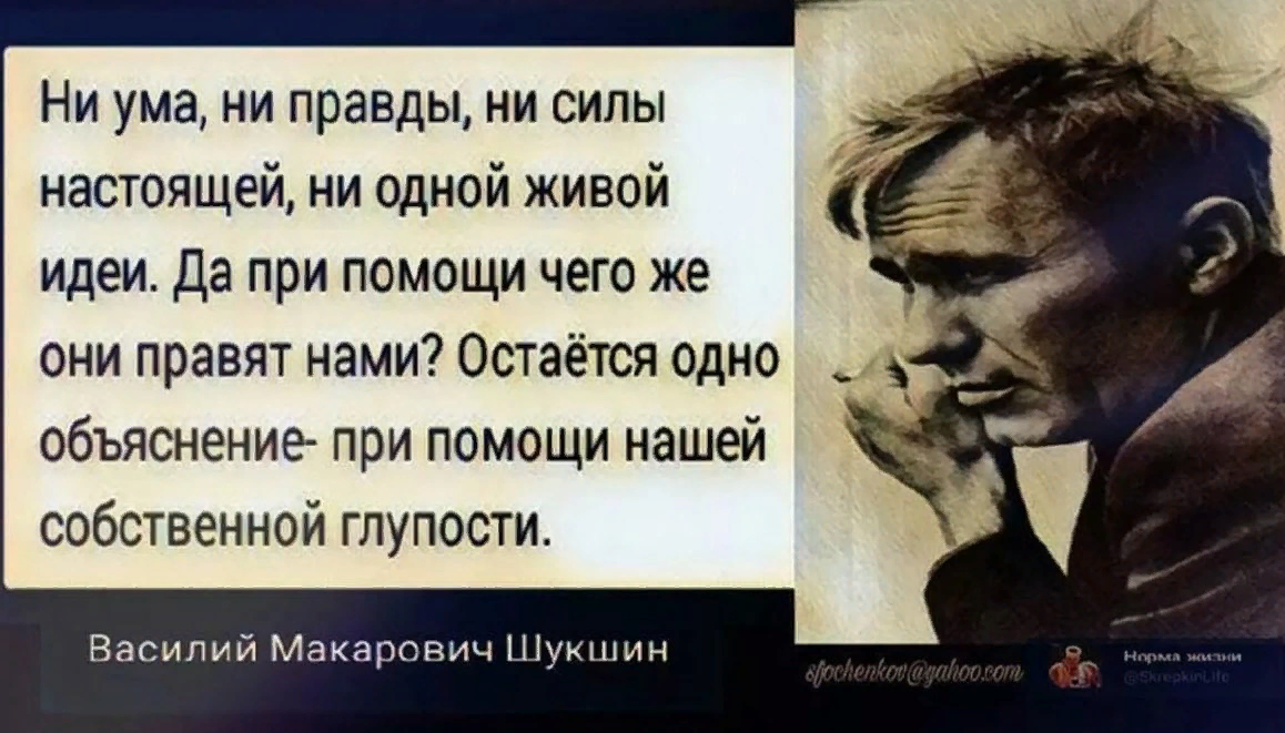 Политика сила народ. Мудрость о власти. Мудрые мысли о власти. Цитаты про власть.