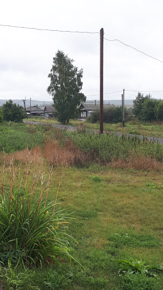 Деревня Беловодье