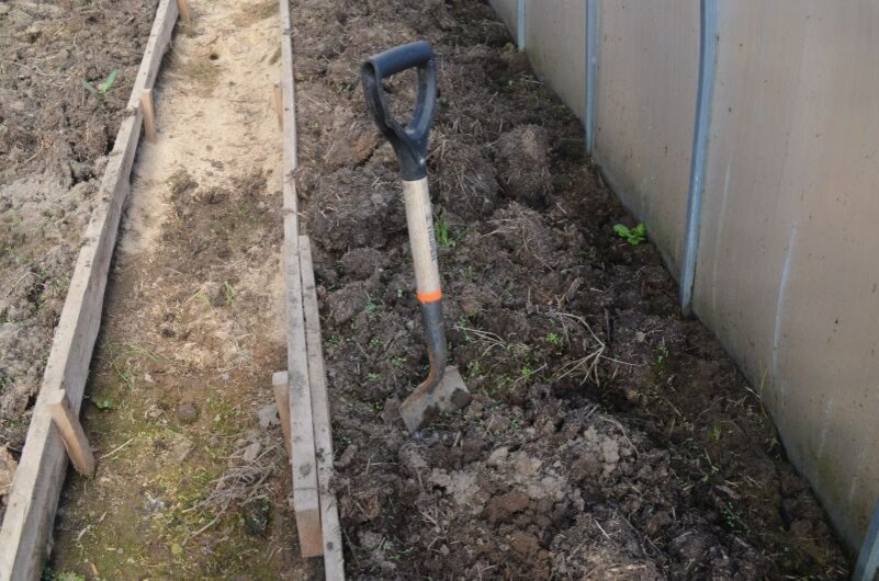 Теплая грядка в теплице осенью.