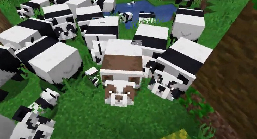 коричневая панда