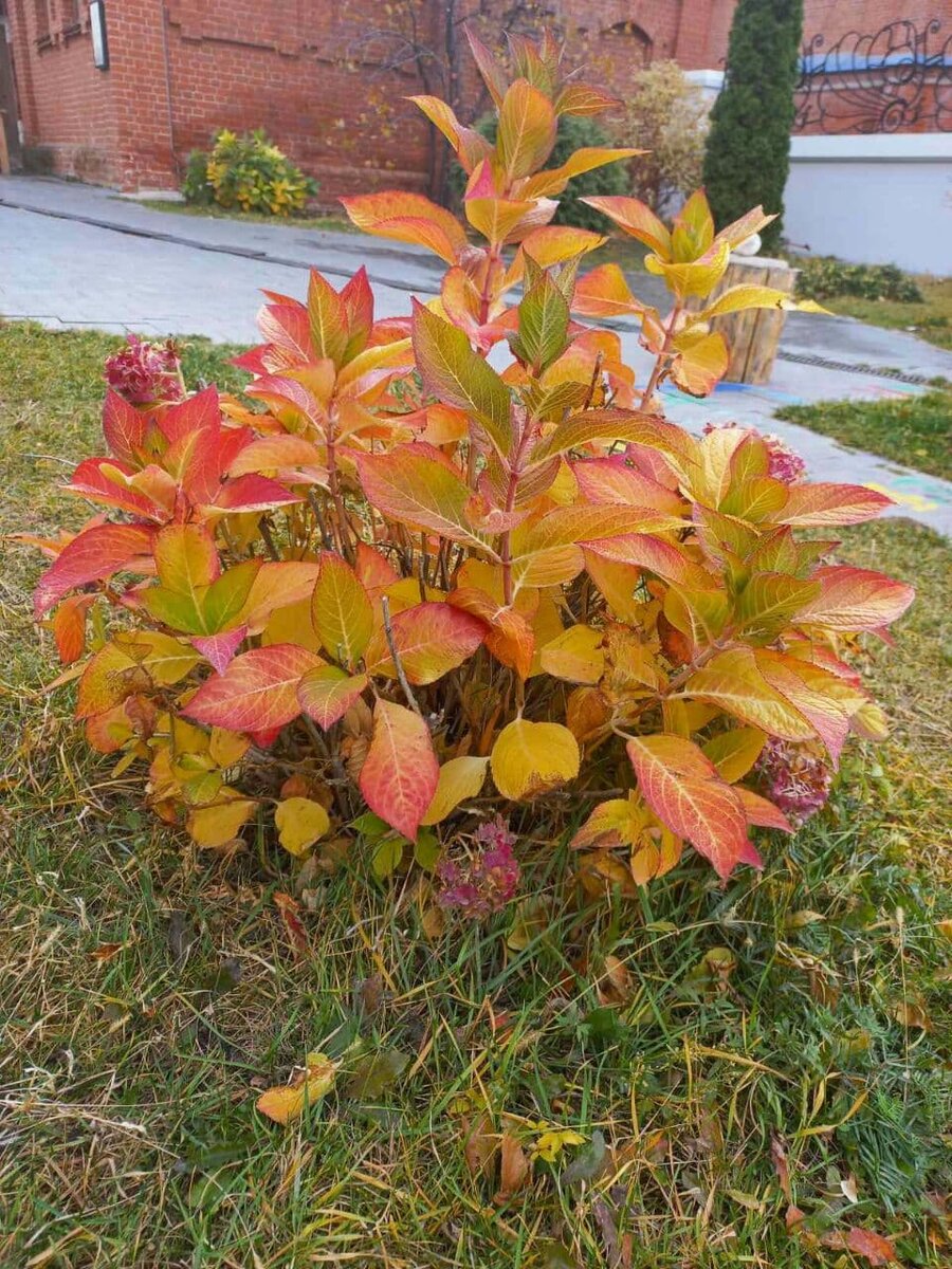 Фото автора.