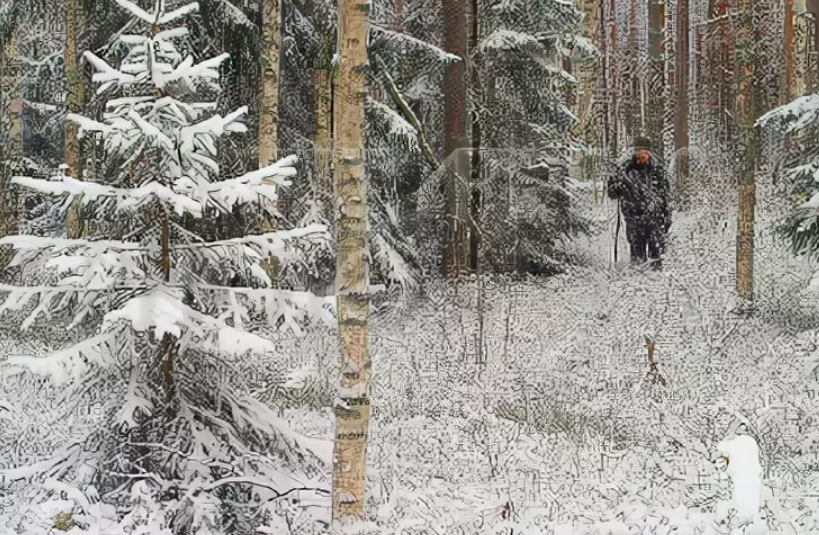 Фото было взято из открытого источника