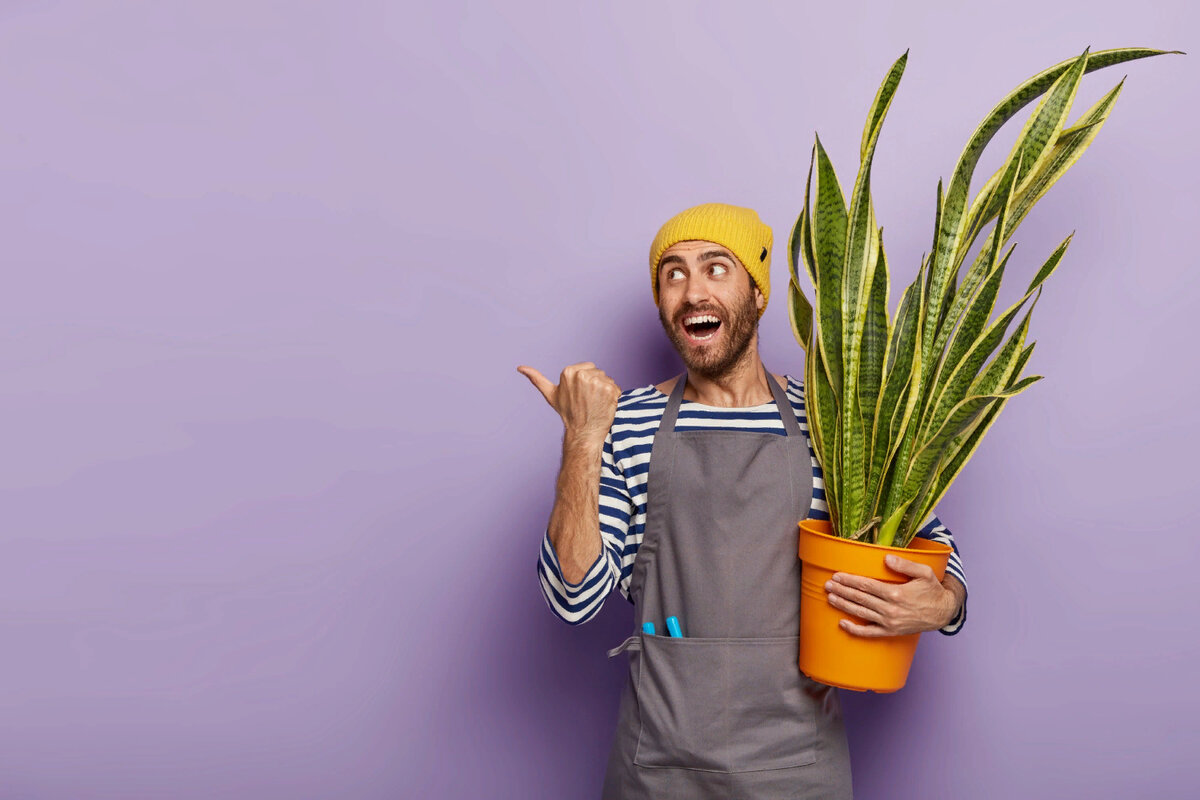 Источник: https://goo.su/C40 