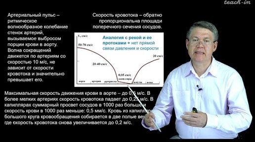 Descargar video: Дубынин В. А. - 100 часов школьной биологии - 1.7. Сосуды