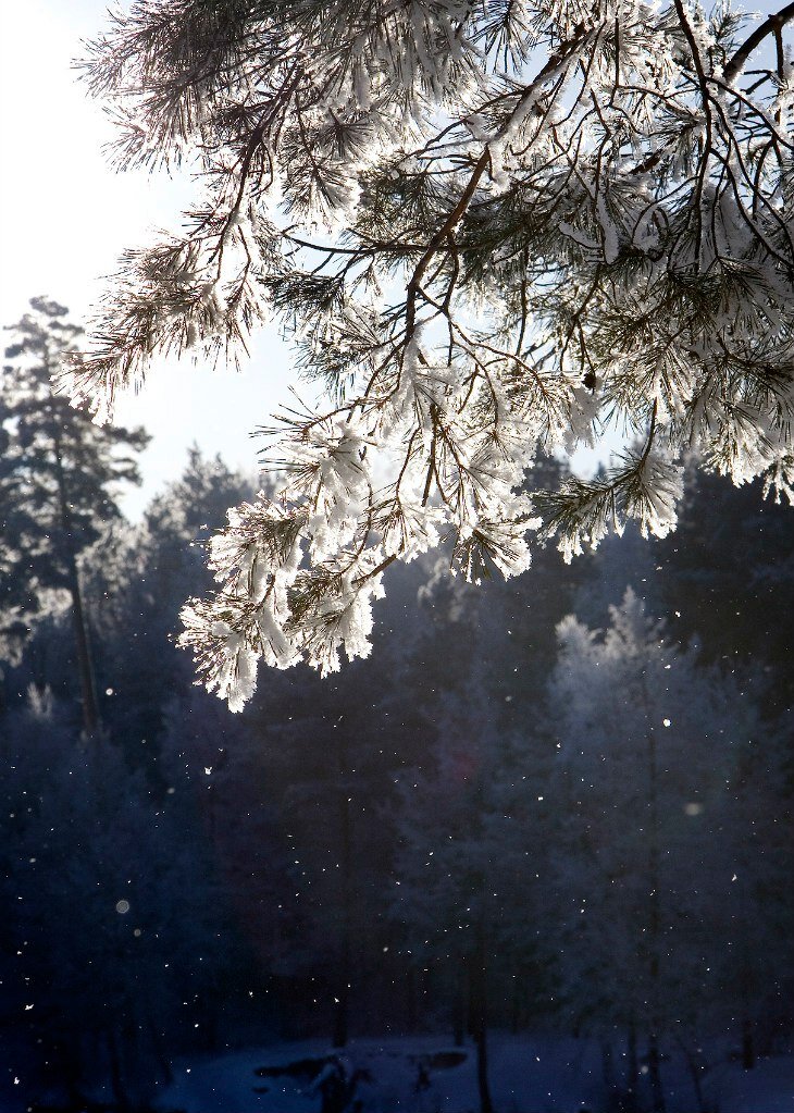Перед Праздником (фото из личных архивов друзей)