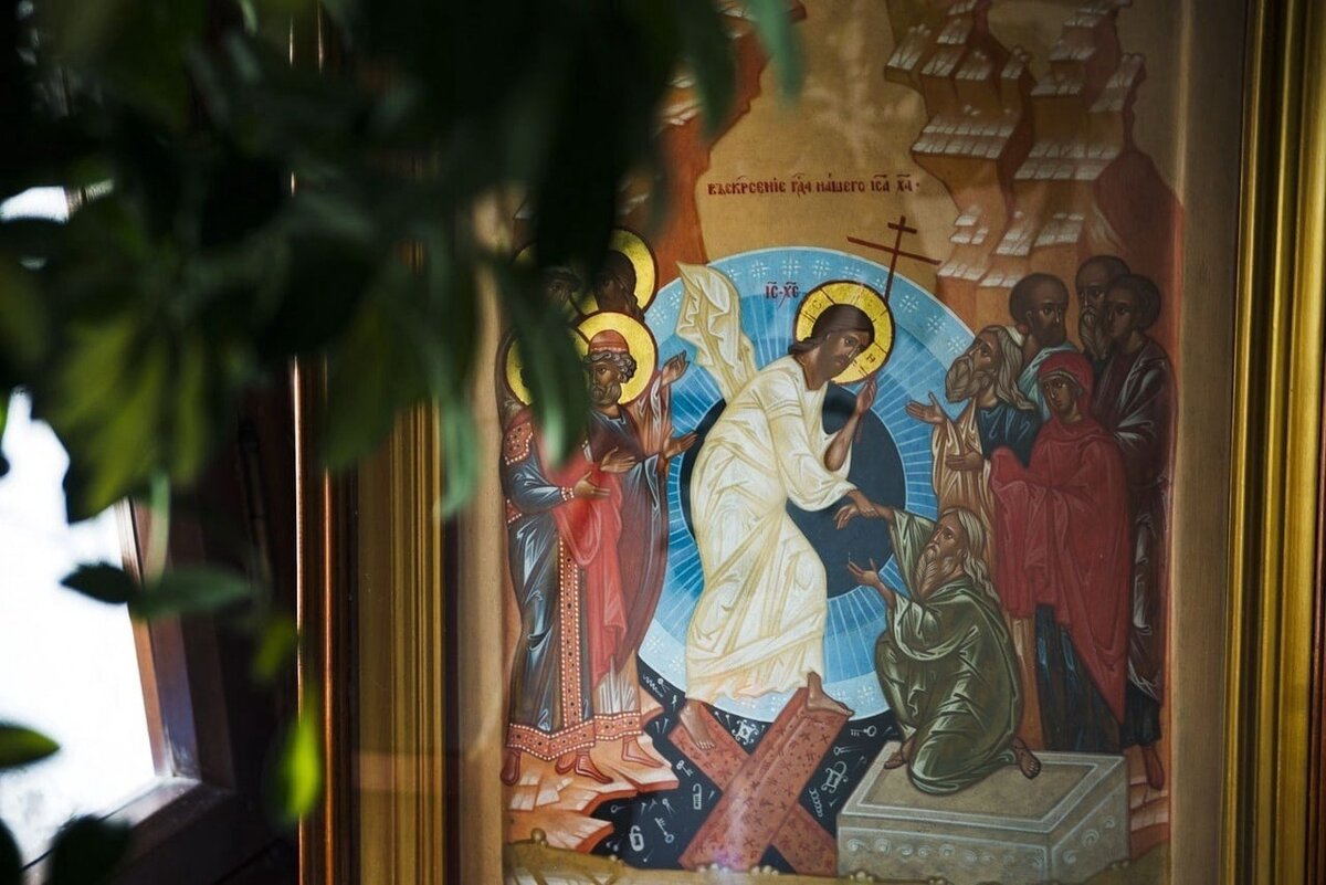 Фото взято из открытых источников