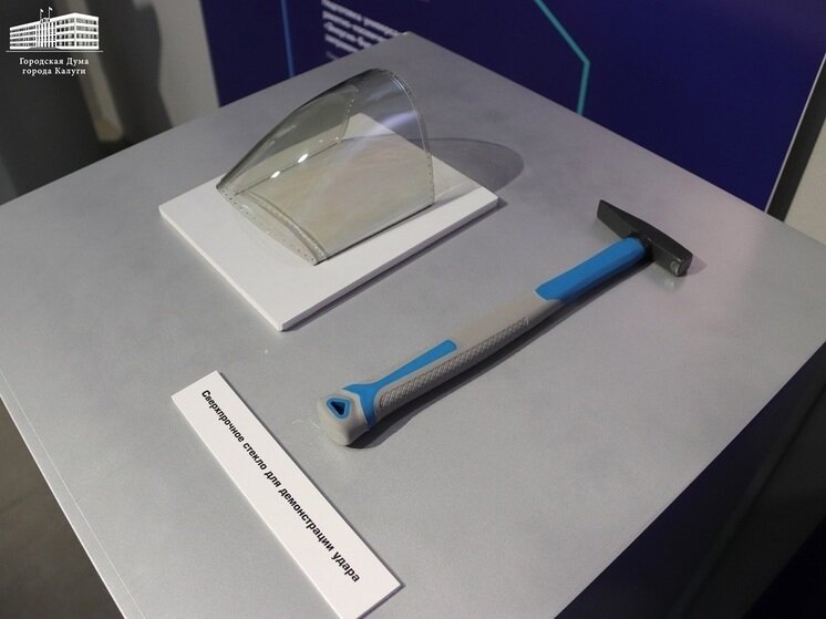     Фото: пресс-службы Городской Думы Калуги