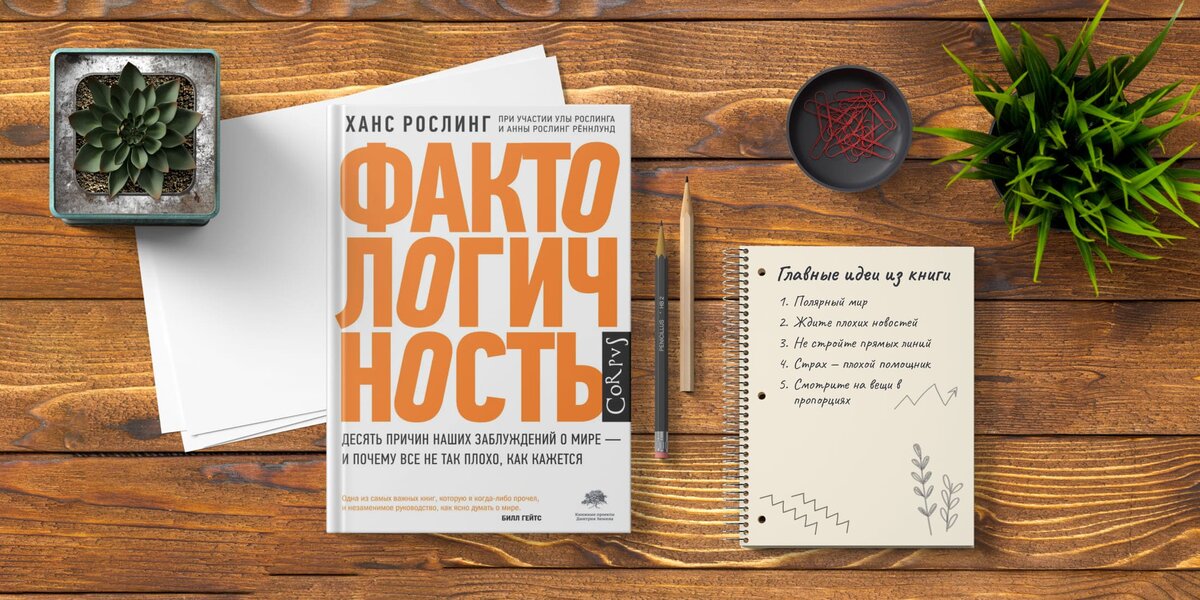 Фото https://bukva.info/blog/faktologichnost-kratkoe-soderzhanie-rosling/