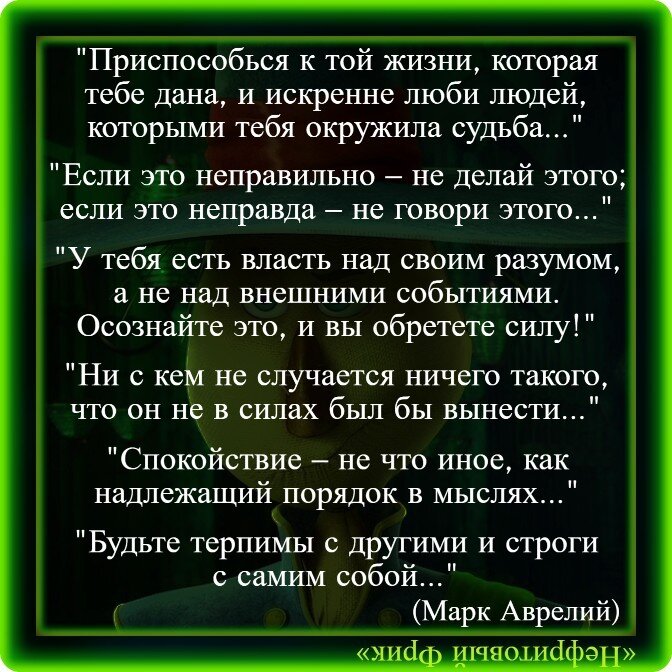 Жизнь это задача которую. Жизнь это задача которую