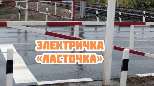 Семья и Хвостики | Электричка ласточка | Дзен