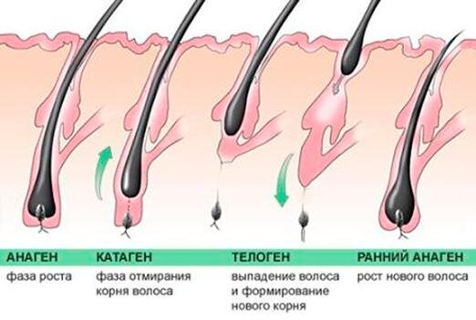 Почему во сне потеет голова?