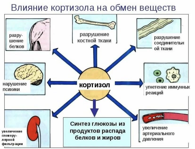 Открытые источники