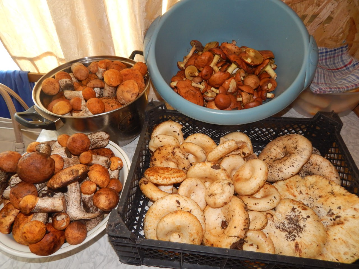 Друзья похвалились "уловом"