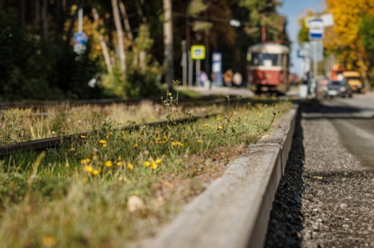    Улицу Зоологическая и дублер Серафимы Дерябиной не откроют до конца октября