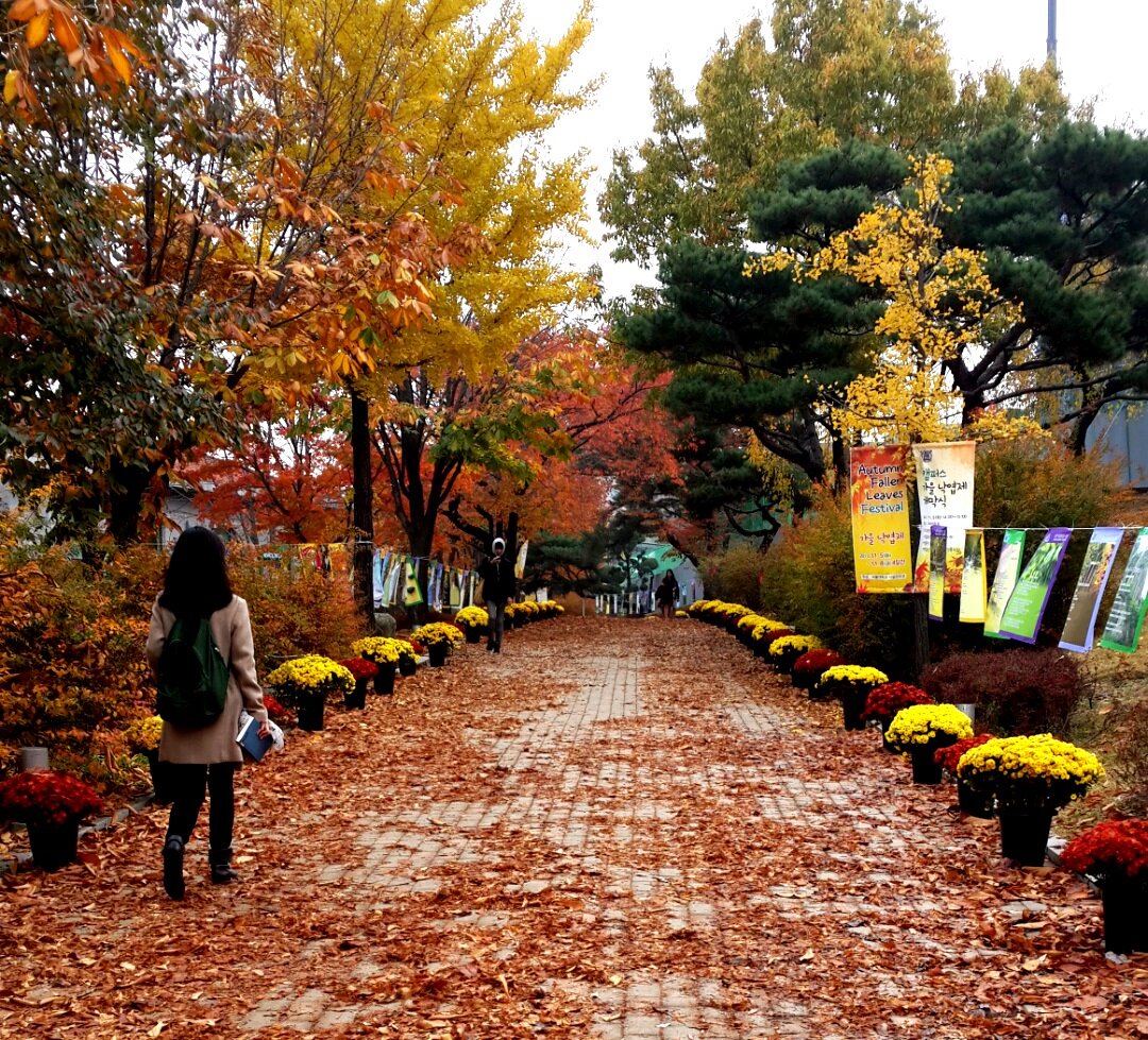 Большой Сеульский Парк