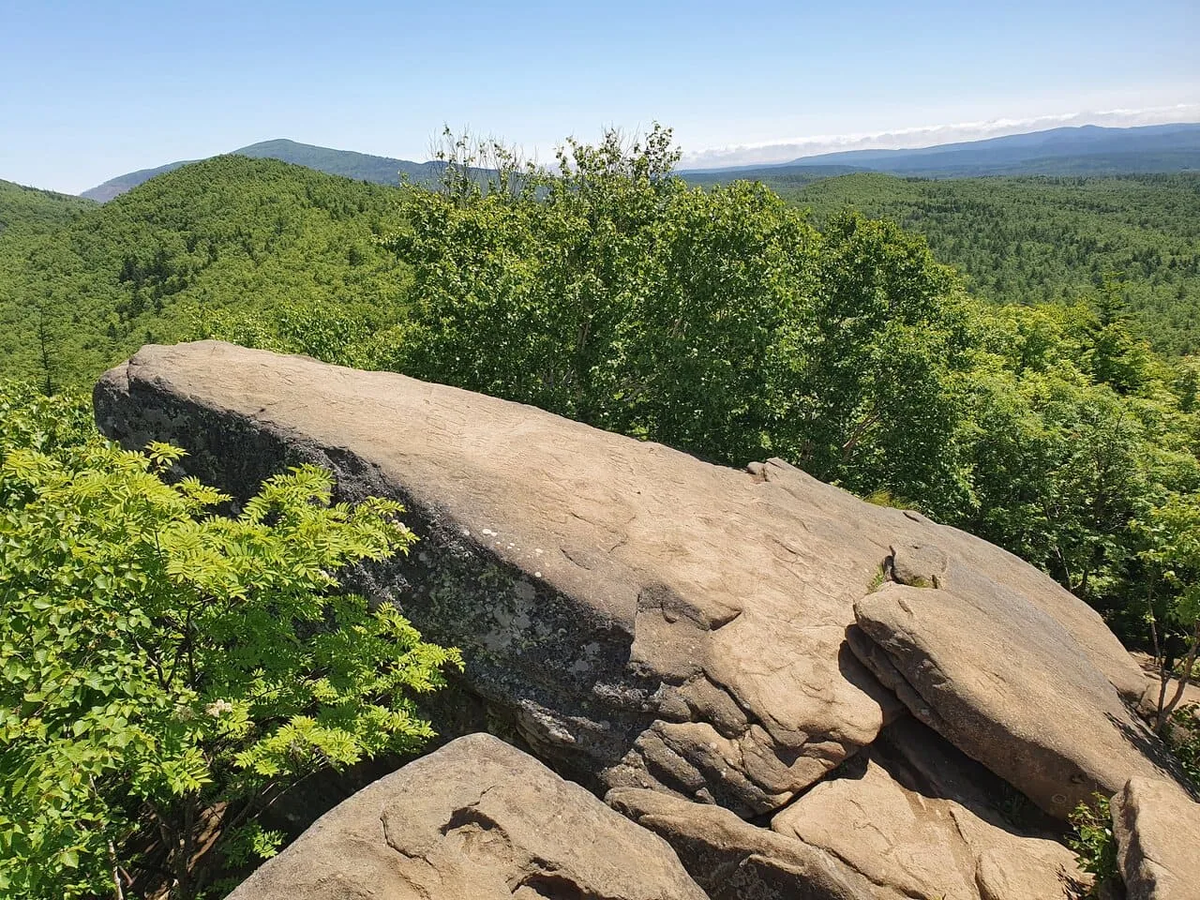 Фото с rutube.ru