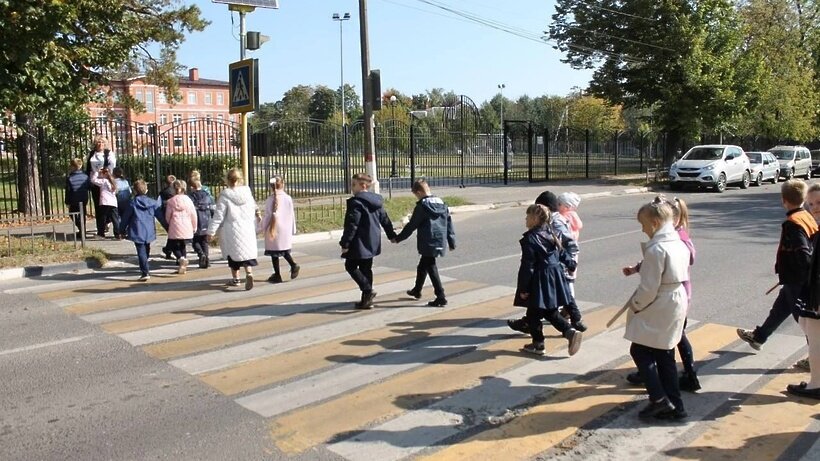    Акция «Зебра» в Электрогорске © Пресс-служба администрации г.о. Электрогорск