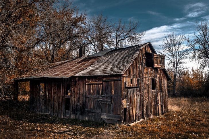 Фото: Pixabay
