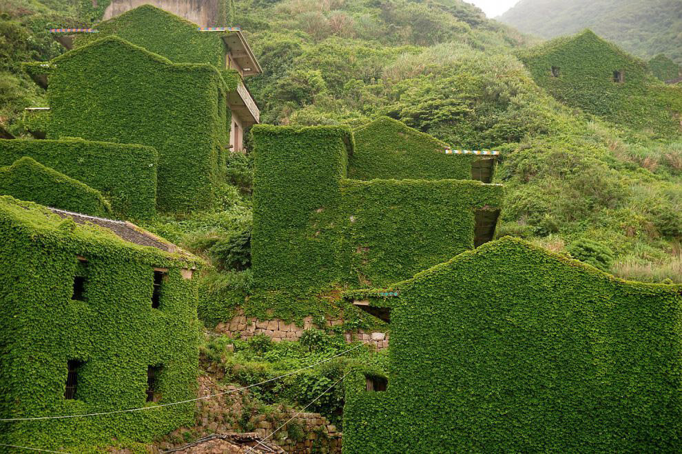 После того как в 90-ых небольшую китайскую деревню на острове  Гуки покинули люди, брошенные поселения стали исчезать под натиском  местной растительности, превращаясь в царство зелени.