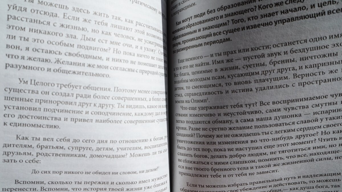 Просто КДПВ, но бонус тому, кто прочитает или уже прочитал