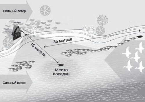 Схема расстановки чучел уток на охоте