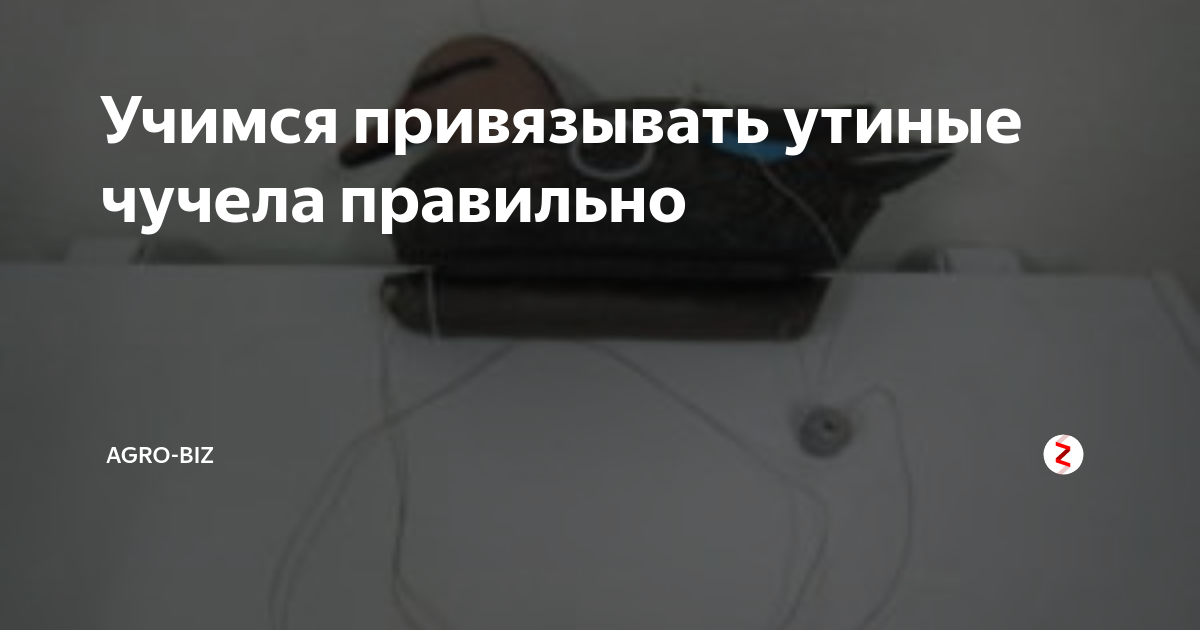 Учимся привязывать утиные чучела правильно | Agro-Biz | Дзен