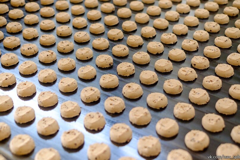 Фото: Евгений Мироненко 