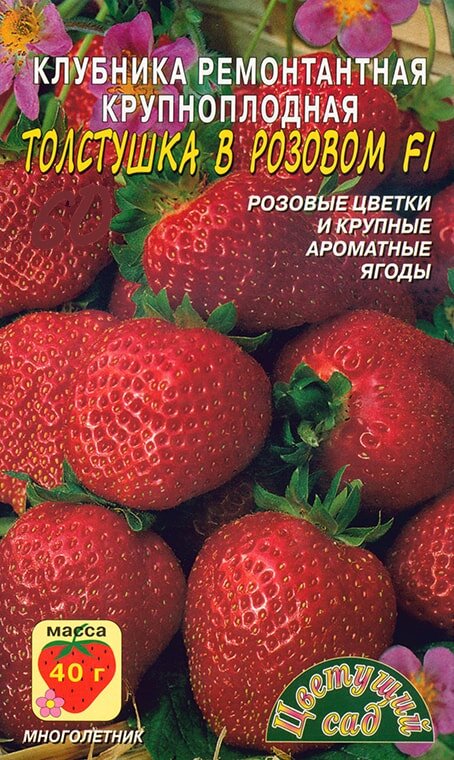 Лучшие сорта и гибриды розовоцветной клубники. | Записки садовода | Дзен
