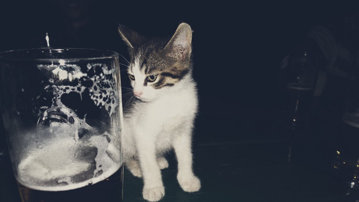 И чьё пиво выпила - тоже знает :)