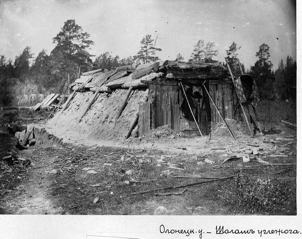 Карелия, Олонецкий уезд, шалаш углежога