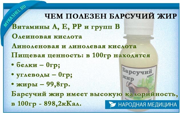 Барсучий жир мл купить недорого с доставкой в интернет-магазине Кладовая Кавказа