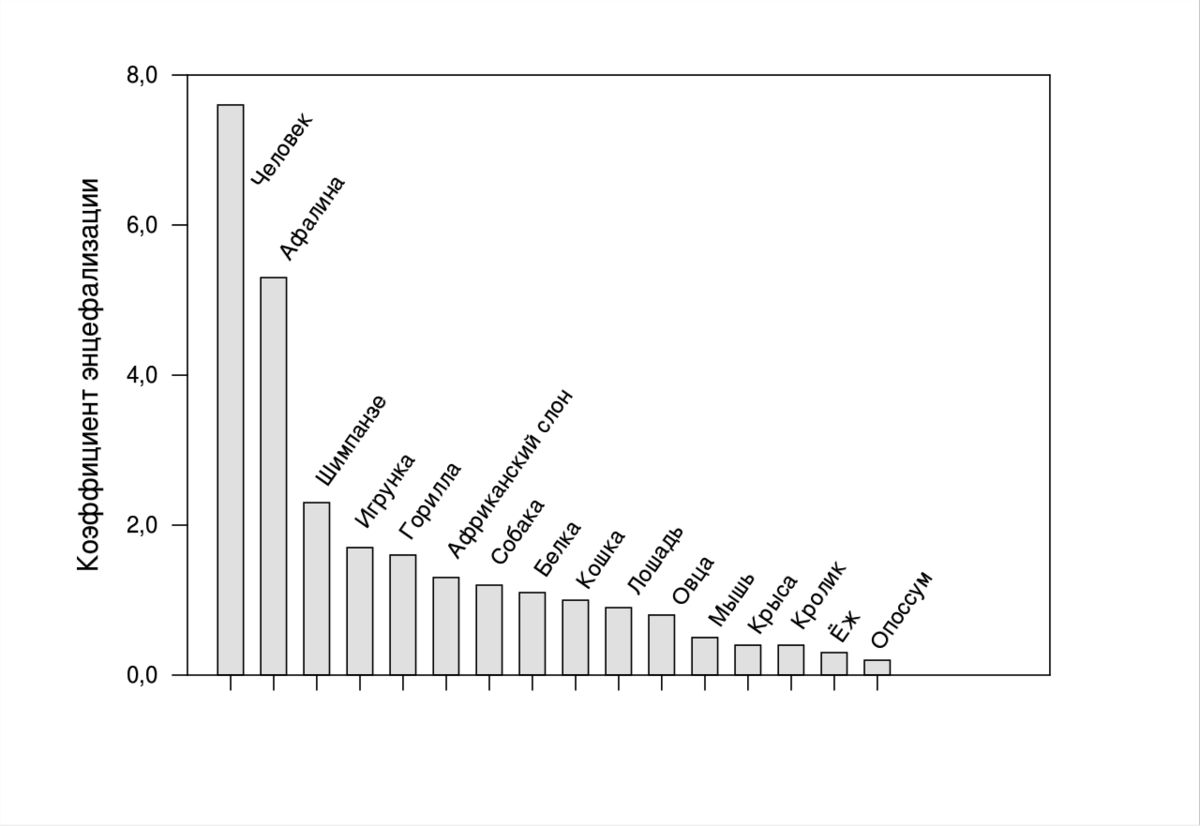 рейтинг животных по интеллекту. уровень интеллекта животных таблица. самые быстрые животные таблица. шкала интеллекта животных. умные города россии список.