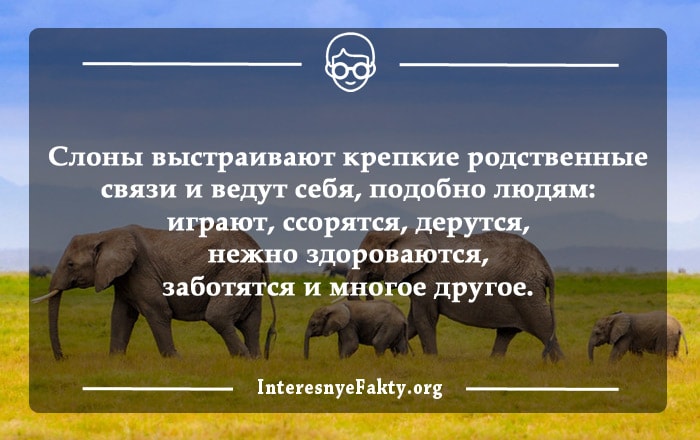 Самые интересные факты обо всем