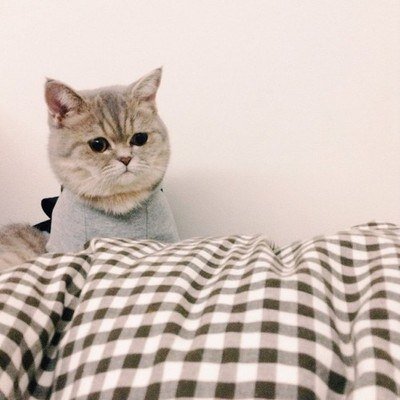 В этот холодный понедельник котик может остаться в кроватке, а Вы - нет! Читайте Гороскоп от блондинки и марш на работку! :)