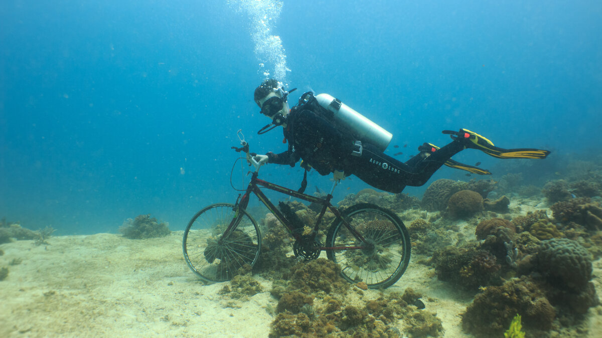 моё первое погружение в море