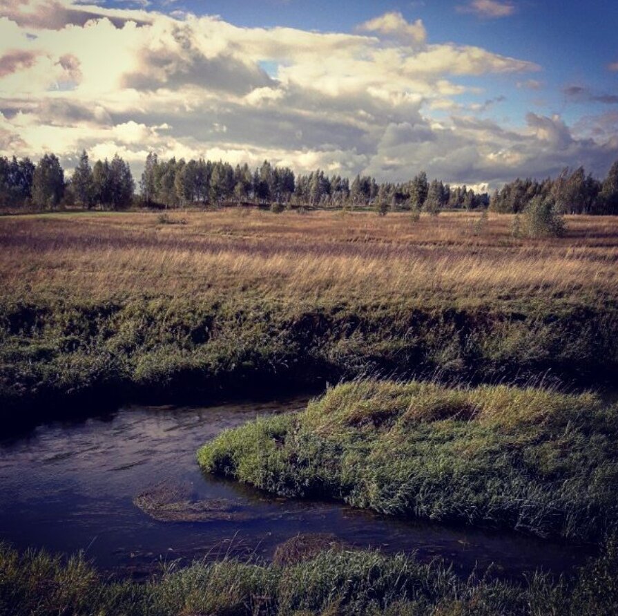 
 Река Сара с берегов Сарского городища
