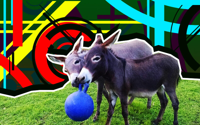 Революционная формула, определения фразеологизма «Буриданов осел»