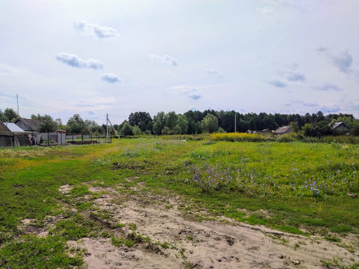 Коз к примеру.