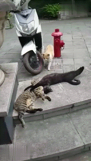 И кmo эma cmepвa!?