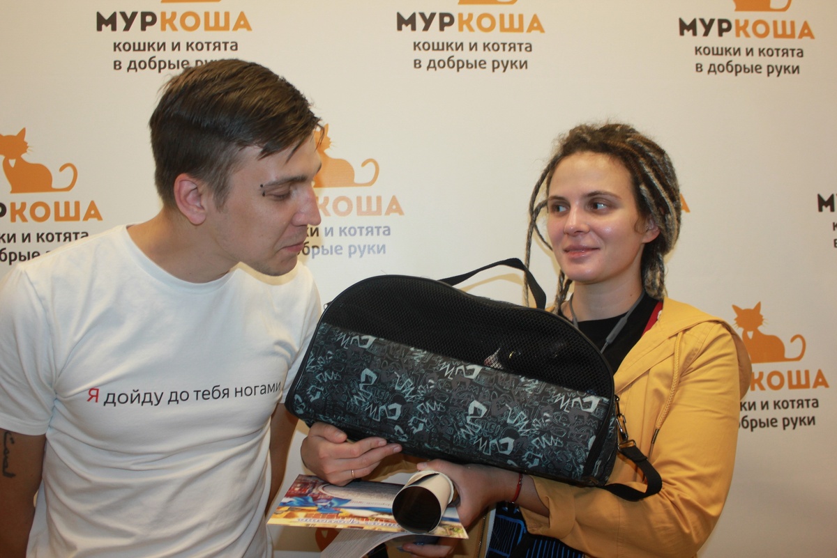 Посмотрите, с каким любопытством новоиспечённый котопапа наблюдает за Ярославной