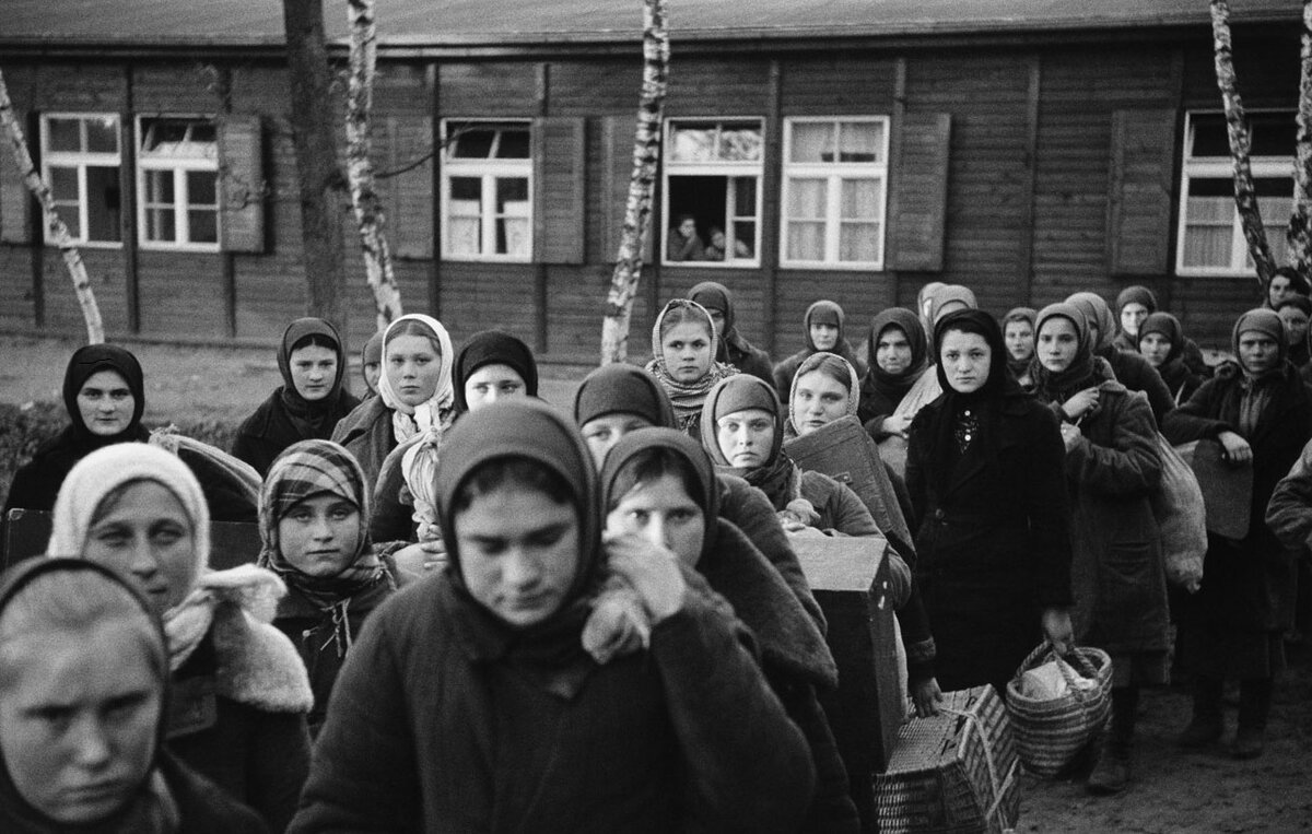 Подпишись на канал и поставь лайк! Ты поможешь развитию канала! Заранее спасибо!