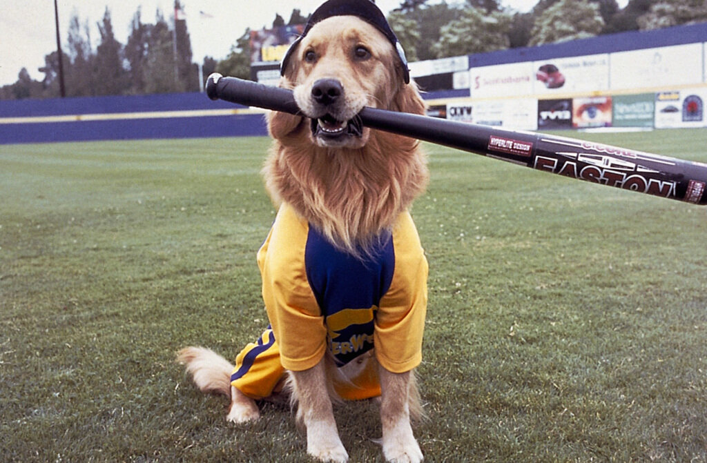 Кадр из кинофильма"Король воздуха"