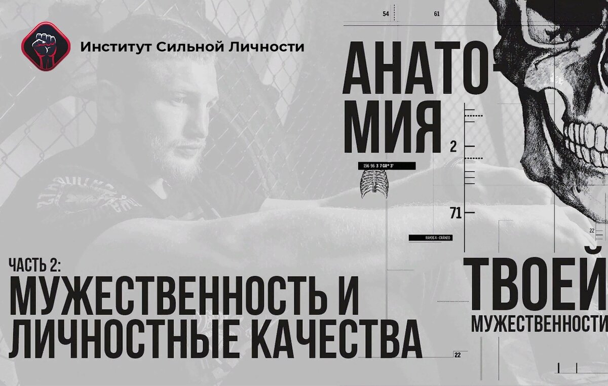 Фото взято из открытых источников